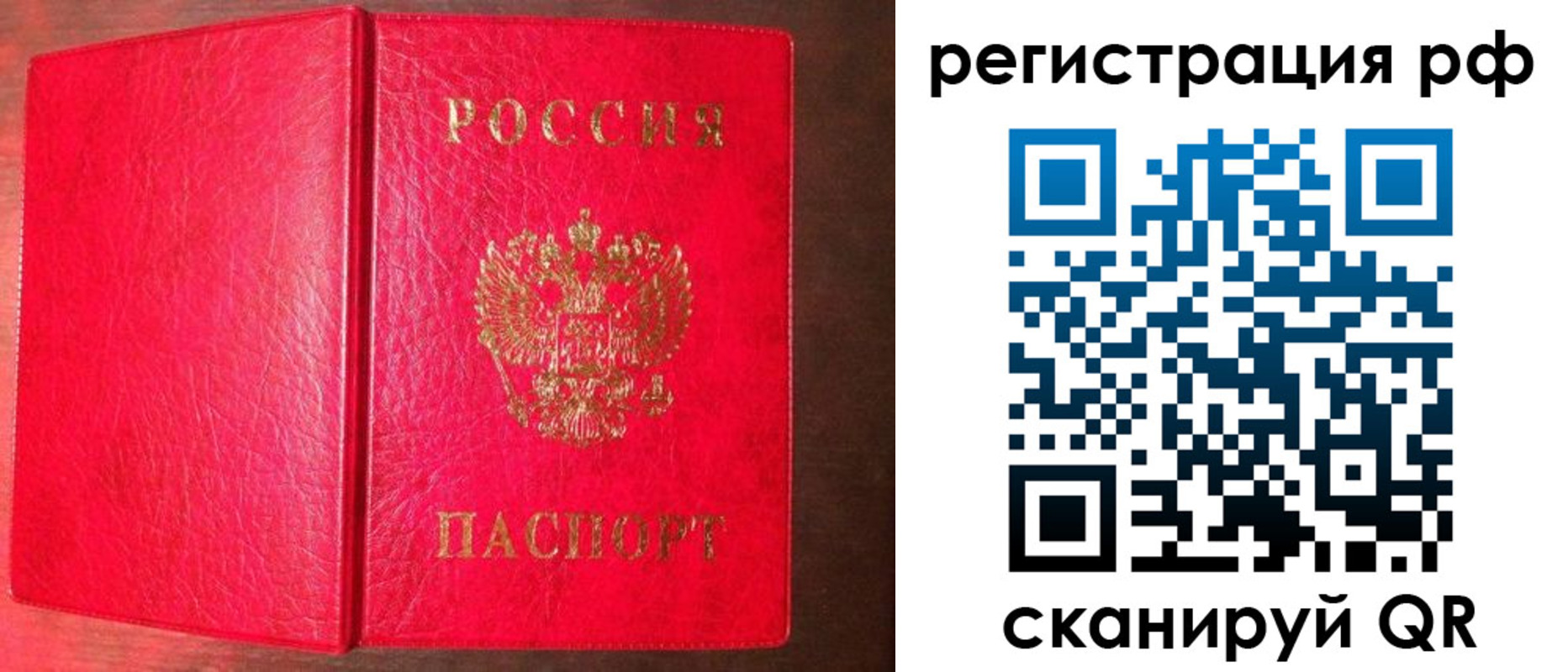 прописка для работы в Димитровграде